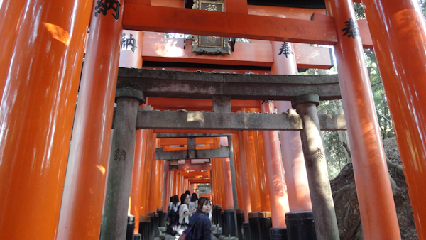 a dark stone torii among the wooden vermillan ones